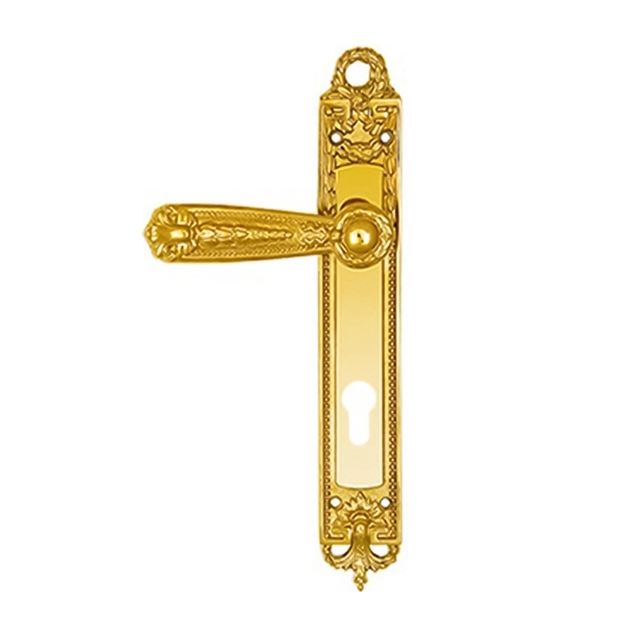 دستگیره دنیل پلات طلایی سوئیچی TS(دیاکو)