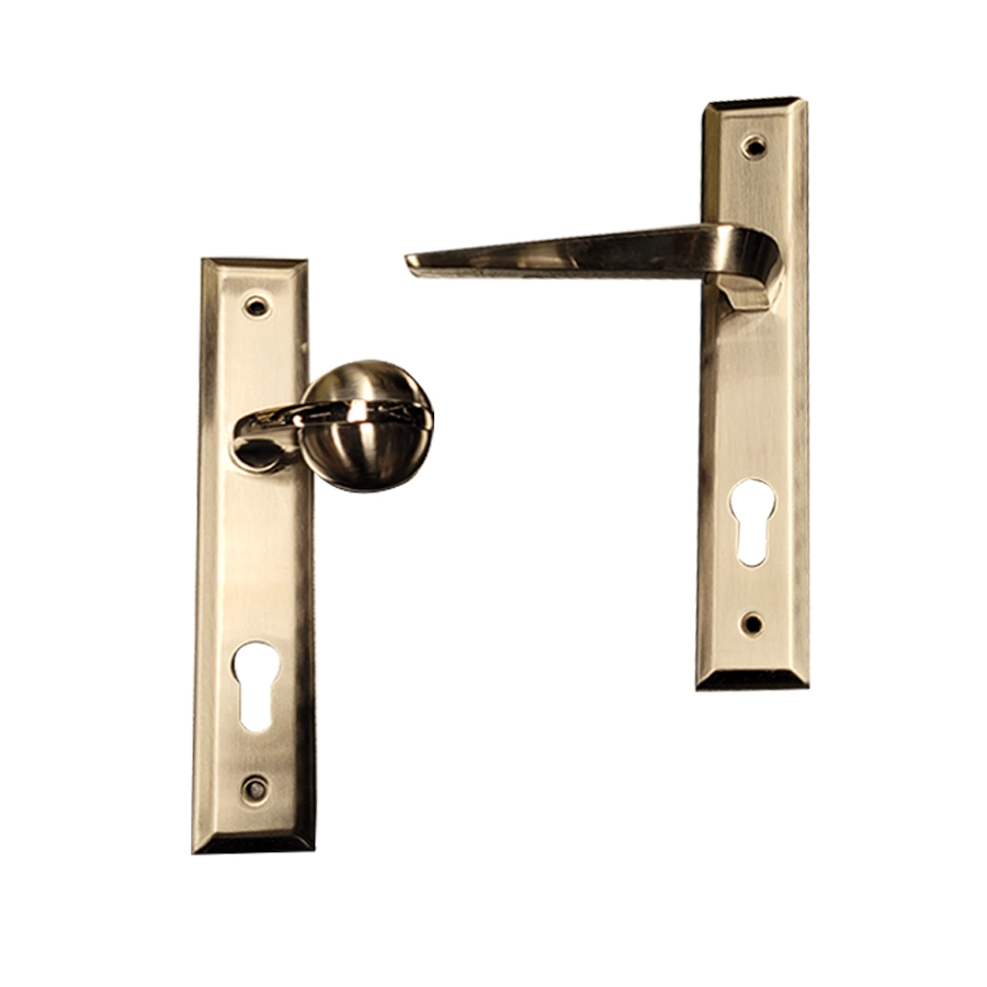 دستگیره پلاک دار آپارتمان چپ 614 استیل (زرین)