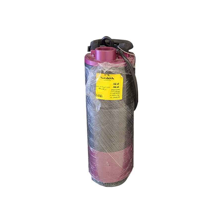 کفکش ۲ اینچ ۶۰ متری راناب مدل RP6/60M تکفاز