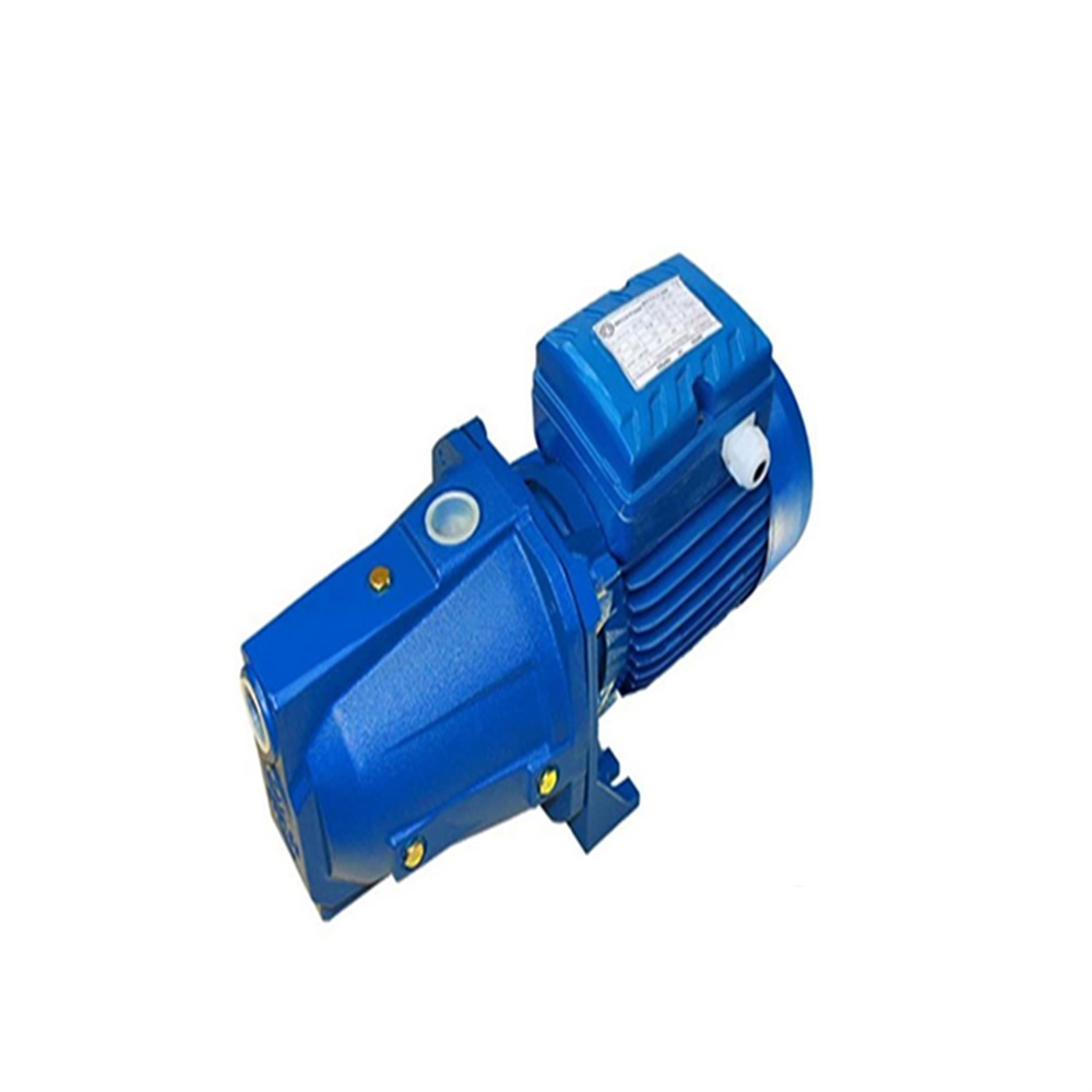 پمپ 1 اسب جتی CAM 100 استیل  (مگا پمپ) - 2