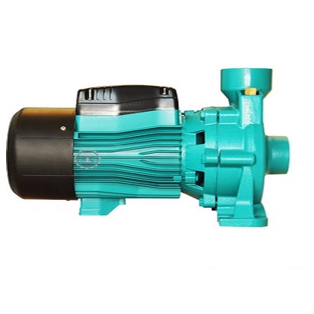 پمپ 3 اسب 2 اینچ استخری لئو بدون استرینر مدل ACM220CH2 - 2